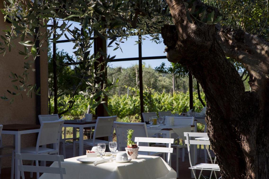 La Cipriana Villa Castagneto Carducci Eksteriør bilde