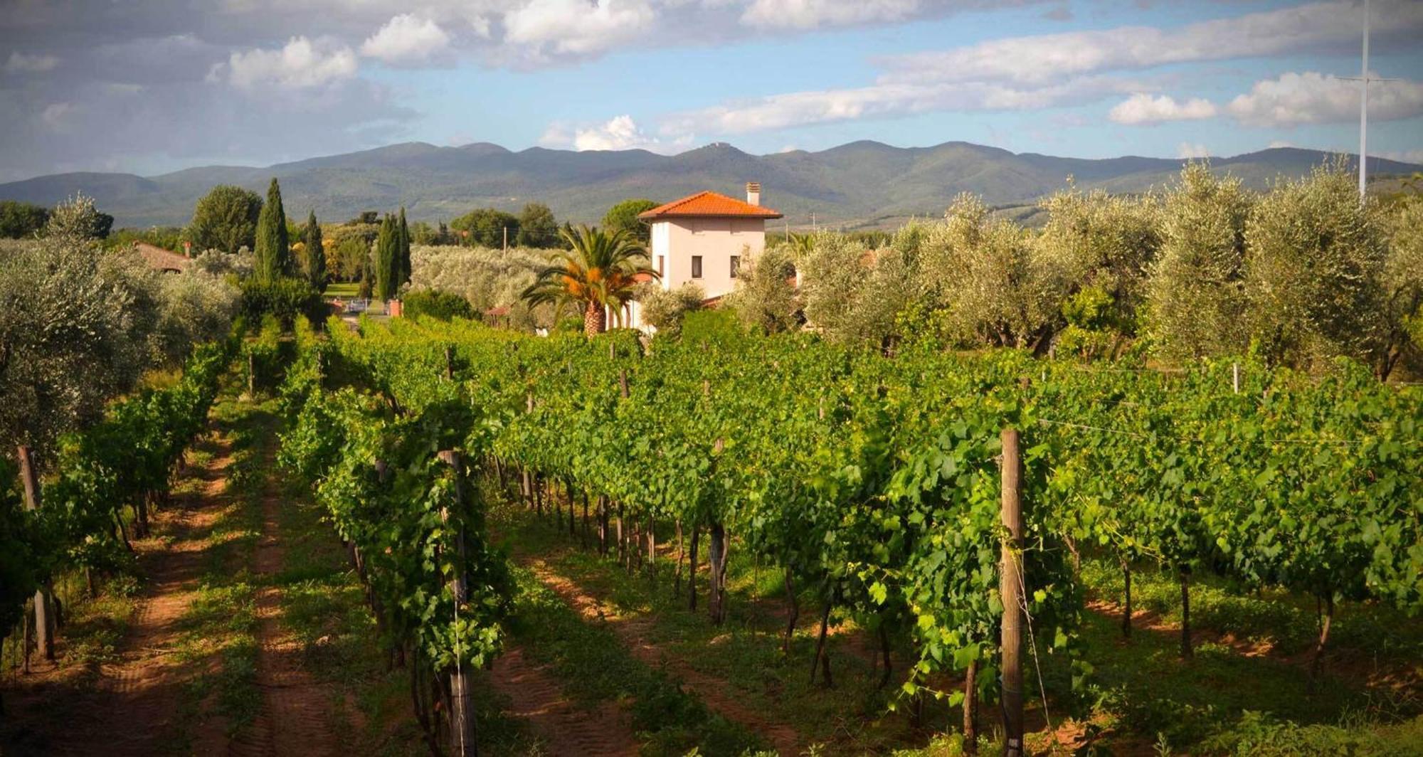 La Cipriana Villa Castagneto Carducci Eksteriør bilde