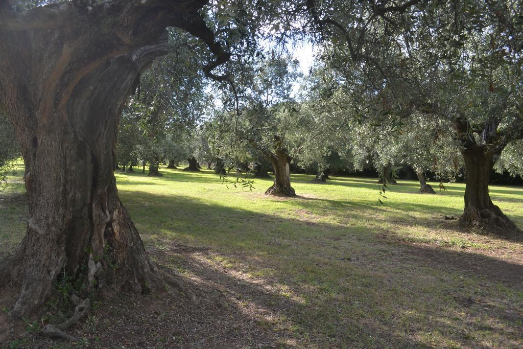 La Cipriana Villa Castagneto Carducci Eksteriør bilde