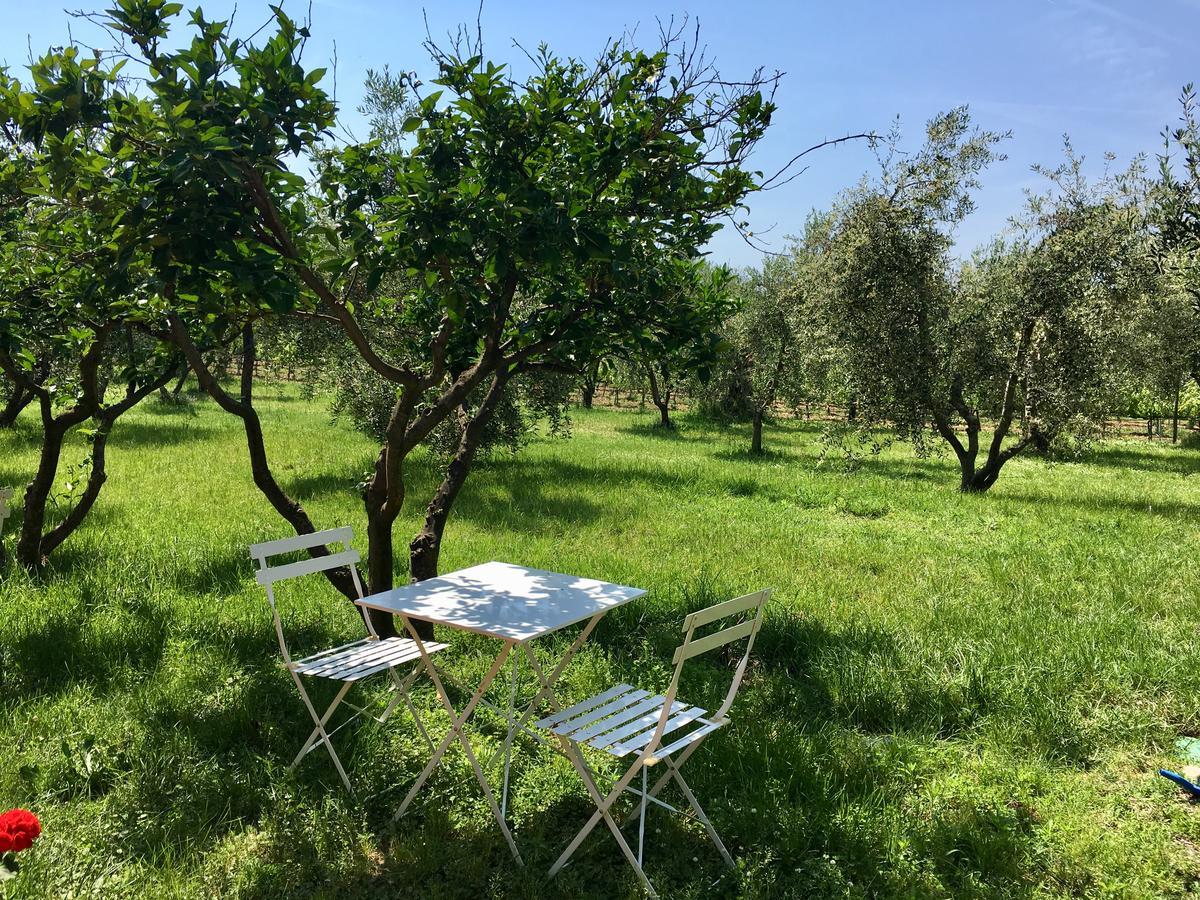 La Cipriana Villa Castagneto Carducci Eksteriør bilde