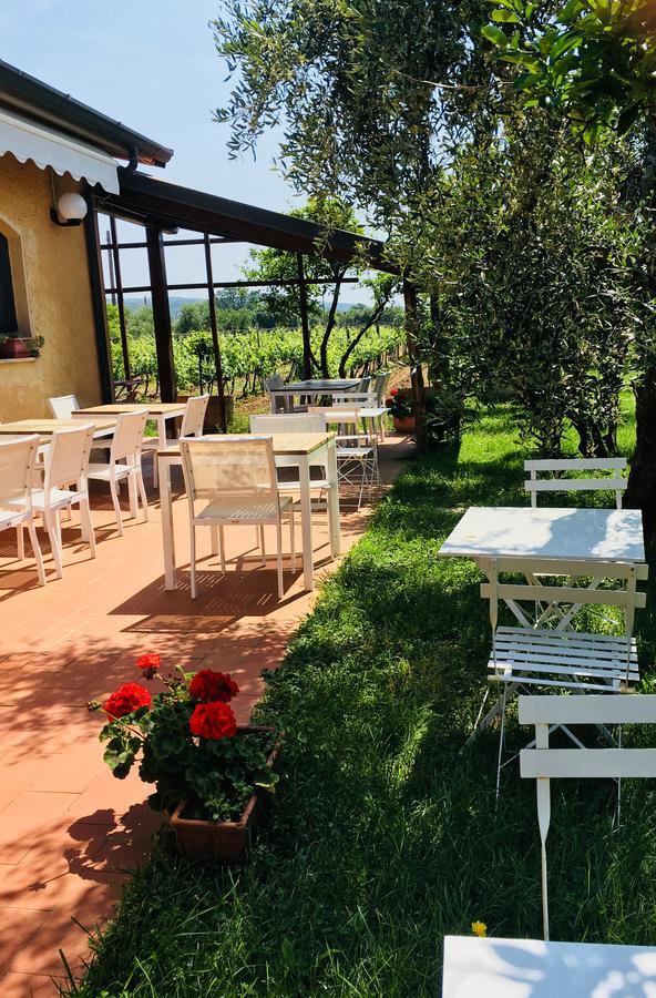 La Cipriana Villa Castagneto Carducci Eksteriør bilde