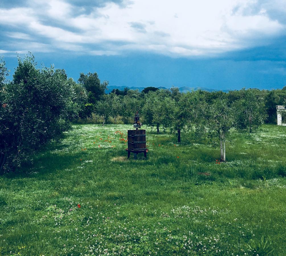 La Cipriana Villa Castagneto Carducci Eksteriør bilde